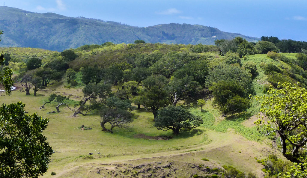 Ética da Paisagem